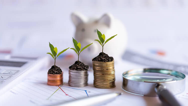 pixta_66495339_M (1).jpg