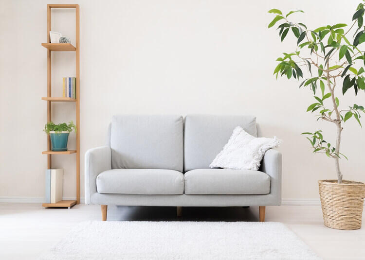 pixta_92214744_M (1).jpg