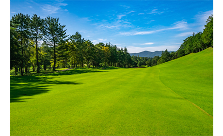 株式会社すてっぷ