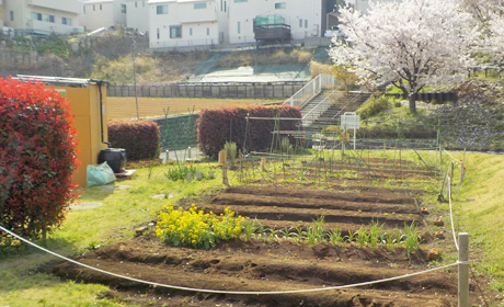 %e8%be%b2%e5%9c%92%e4%bb%98%e3%81%8d%e5%85%ac%e5%9c%92%e3%81%ae%e6%89%80%e9%95%b7%e5%80%99%e8%a3%9c4